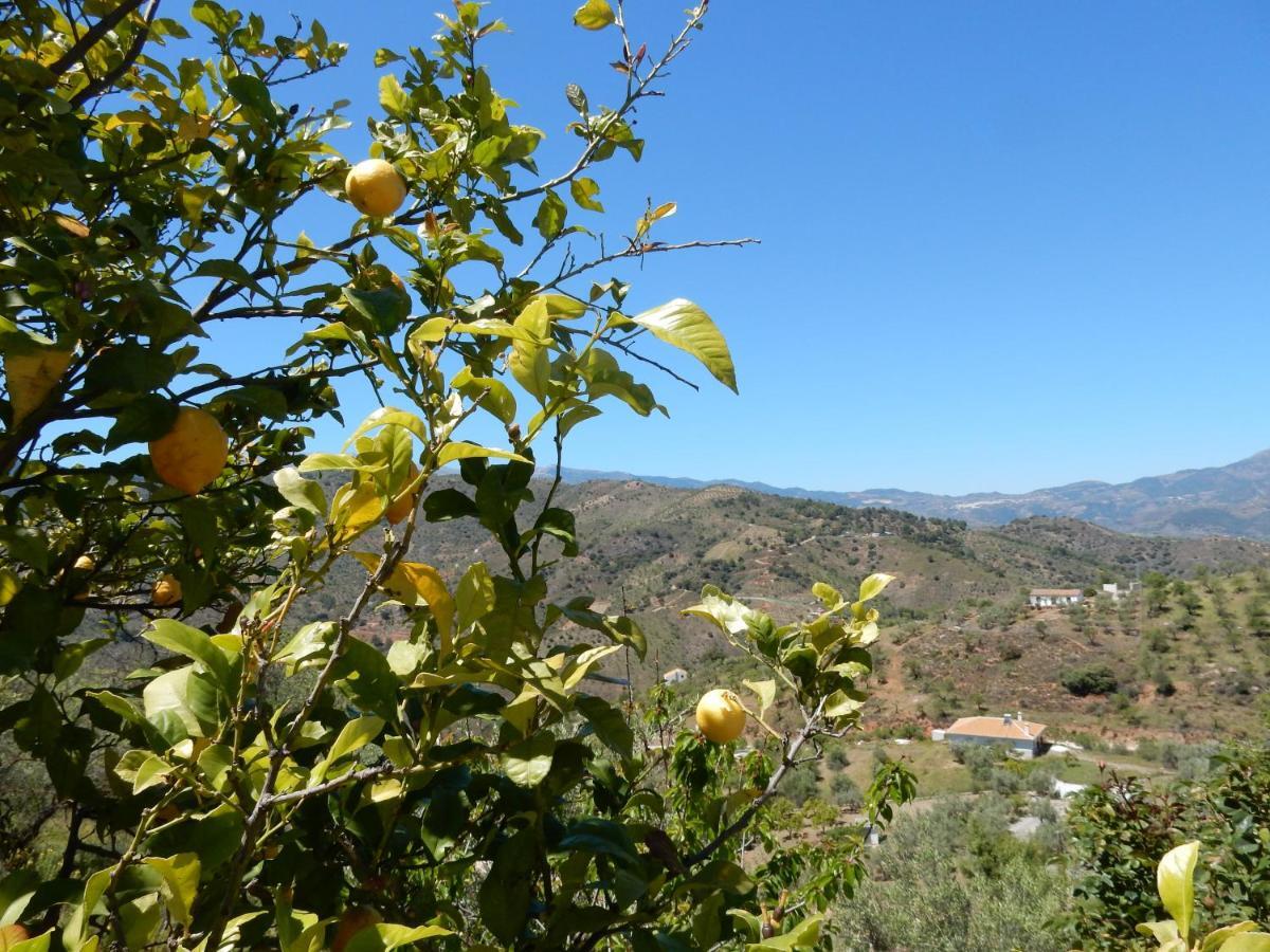 Casa Del Limonero Apartment Guaro ภายนอก รูปภาพ